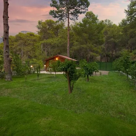 Villa Kelebek Faralya *